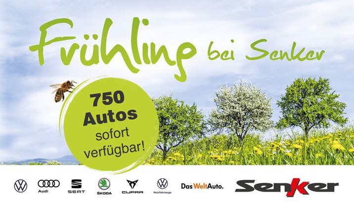 Frühling bei Senker