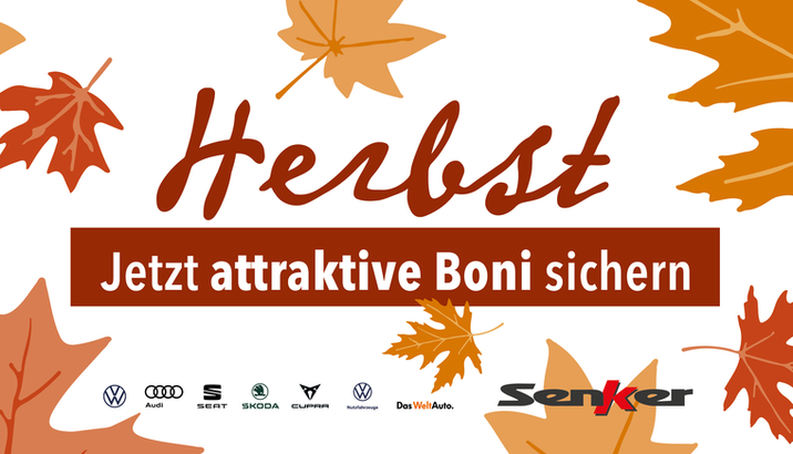 Herbst bei Senker